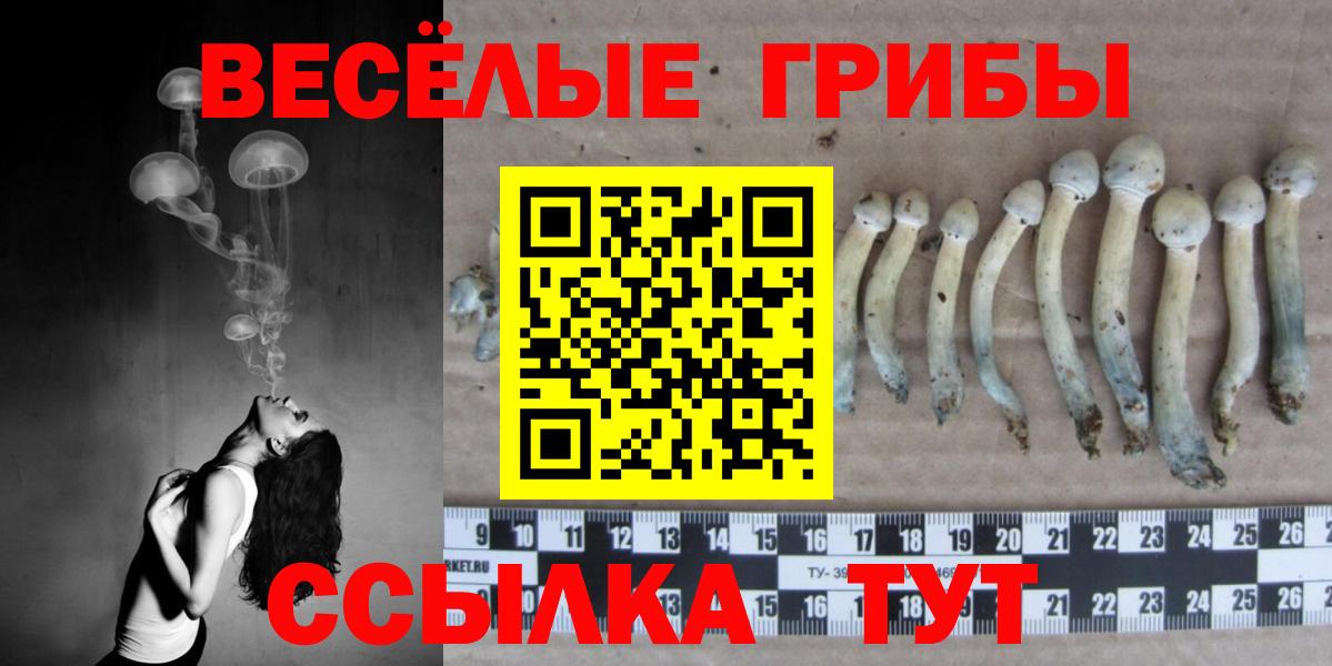 Псилоцибиновые грибы Psilocybe Ноябрьск