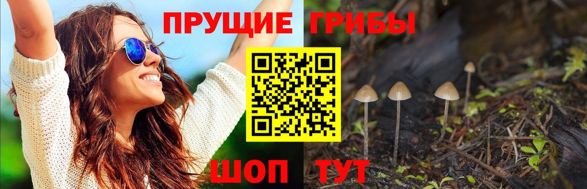 Псилоцибиновые грибы мухоморы  Вход с VPN  Ноябрьск  Галлюциногенные грибы мухоморы 